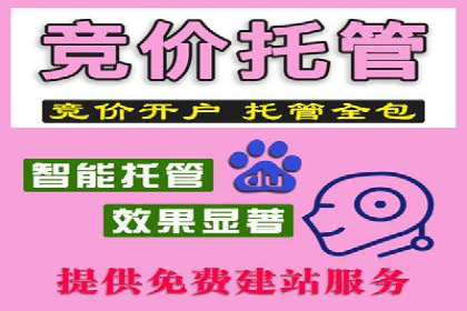 信息流广告成功案例分析